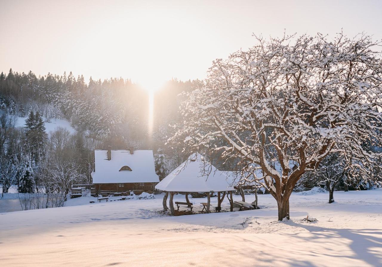 Vila Przystanek Ropienka Lesniczowka Exteriér fotografie